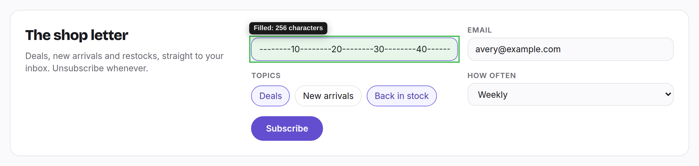Filled: 256 characters The newsletter form with the first name filled with 256 counted characters and a green outline