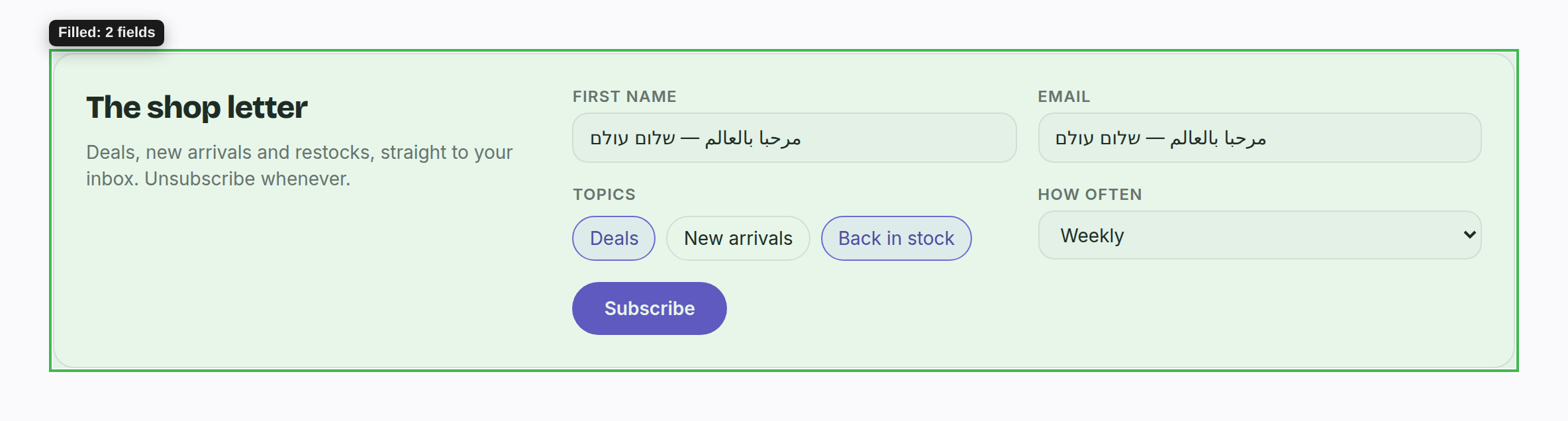 One click, every field The whole newsletter form outlined in green, both fields filled with right-to-left text